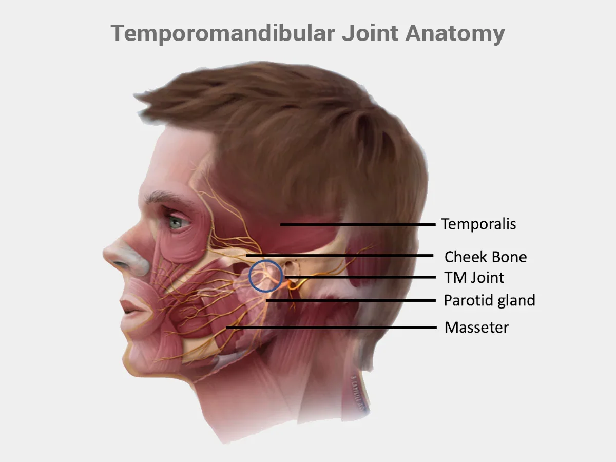 Jaw Pain Explained: What is TMD?